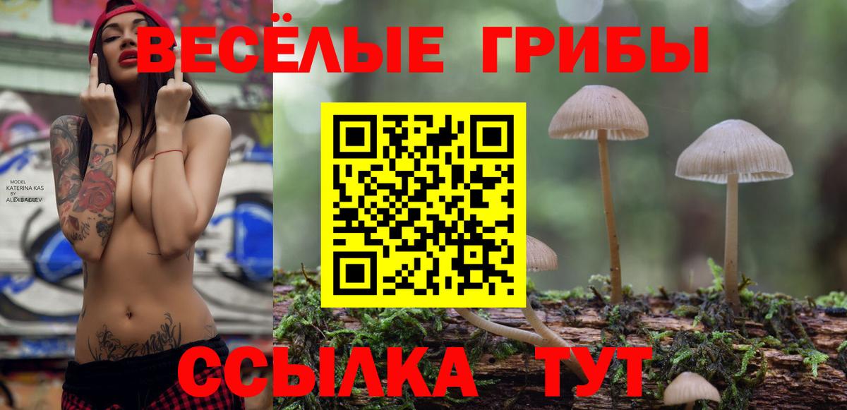 Галлюциногенные грибы GOLDEN TEACHER Владивосток