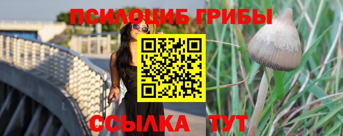Владивосток  Галлюциногенные грибы MAGIC MUSHROOMS  сколько стоит  Вход с VPN  Галлюциногенные грибы GOLDEN TEACHER 